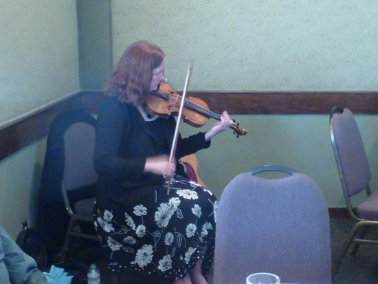 Irish violinist preforms seated